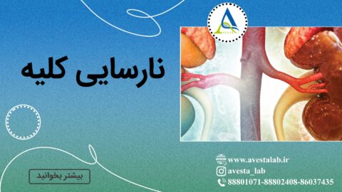 نارسایی کلیه