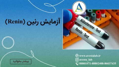 آزمایش رنین (Renin)