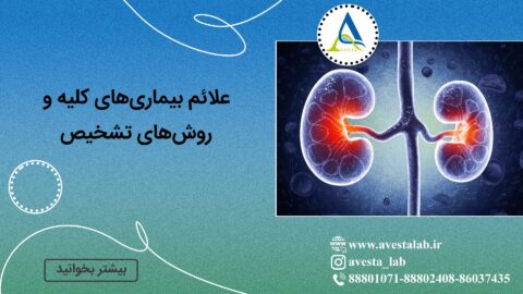 علائم بیماری ‌های کلیه و روش های تشخیص