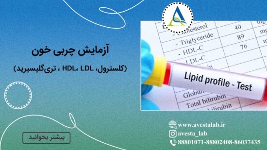 آزمایش چربی خون (کلسترول، HDL ،LDL، تری گلیسیرید)