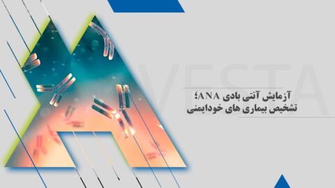آزمایش آنتی بادی ANA؛ تشخیص بیماری های خودایمنی