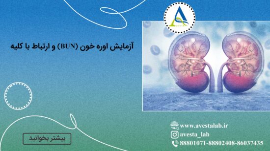 آزمایش اوره خون (BUN) و ارتباط با کلیه