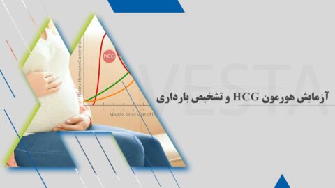 آزمایش هورمون hCG و تشخیص بارداری