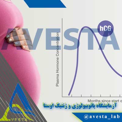 آزمایش هورمون hCG و تشخیص بارداری
