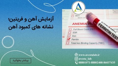 آزمایش آهن و فریتین؛ نشانه های کمبود آهن