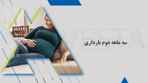 سه ماهه دوم بارداری