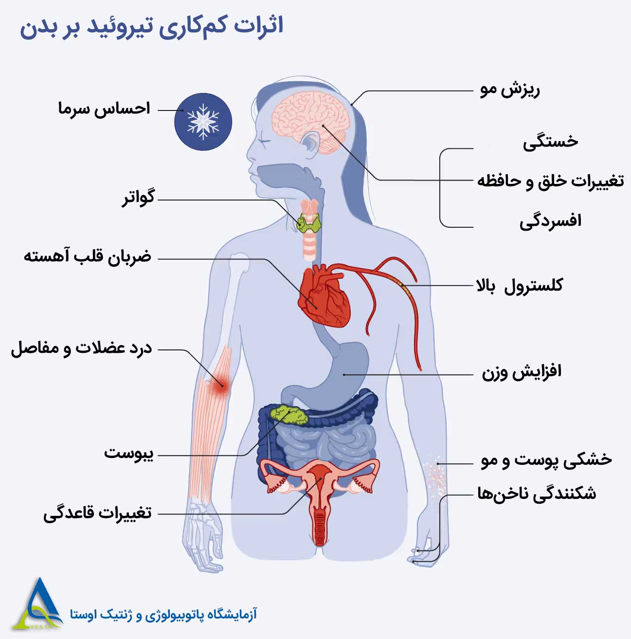 علائم کم کاری تیروئید