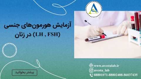 آزمایش هورمون های جنسی (LH , FSH) در زنان