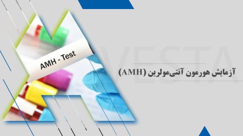 آزمایش هورمون آنتیمولرین (AMH)