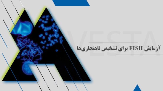 آزمایش FISH برای تشخیص ناهنجاریها | کاربرد، روش انجام، تفسیر نتایج، مقادیر نرمال و نکات مهم