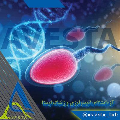 آزمایش ژنتیک ناباروری مردان