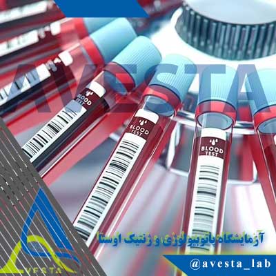 آزمایش خون چه چیزهایی را نشان می‌دهد؟