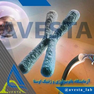 سیتوژنتیک (Cytogenetics) چیست؟