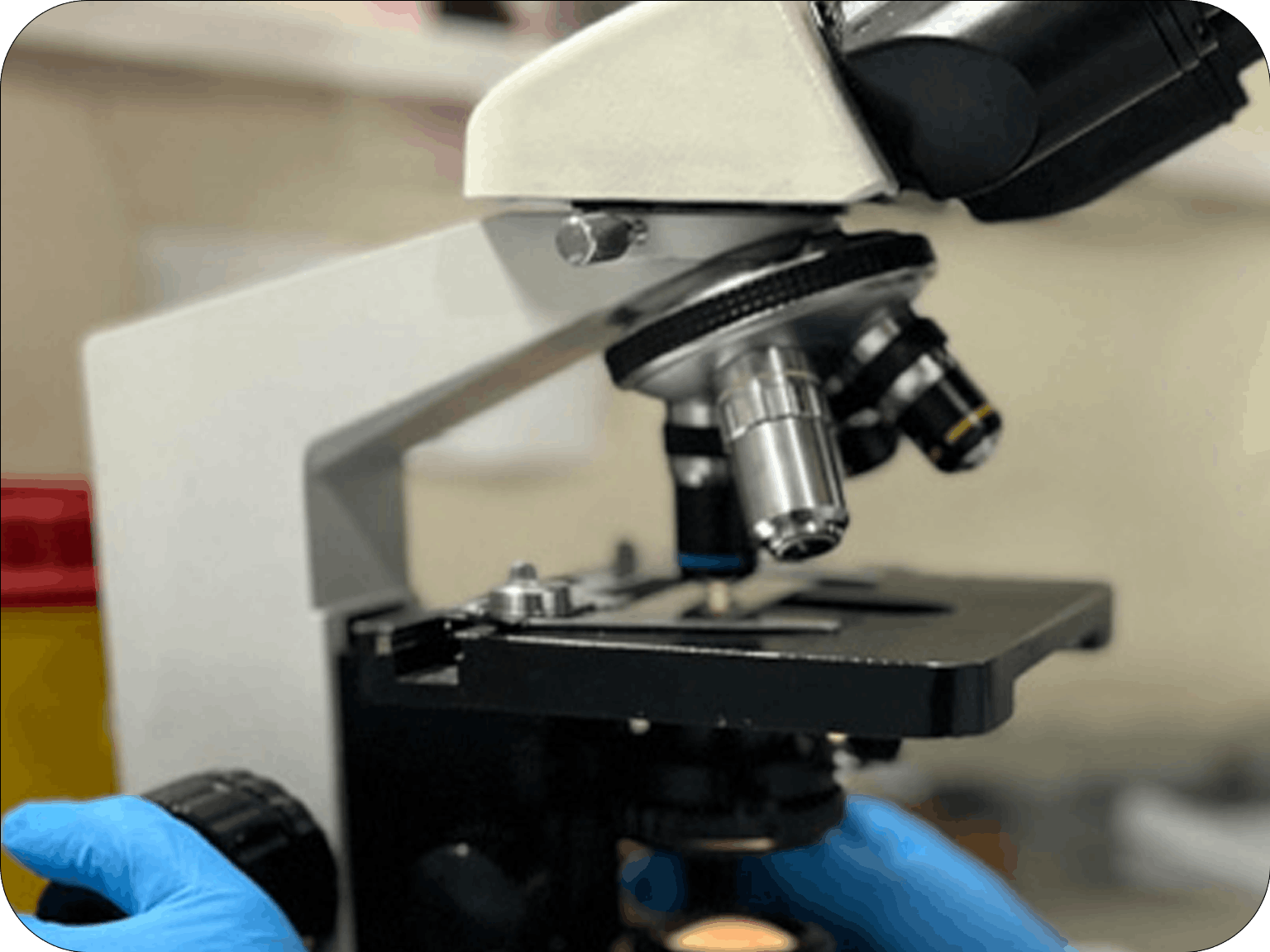 میکروب شناسی آزمایشگاه پاتوبیولوژی اوستا