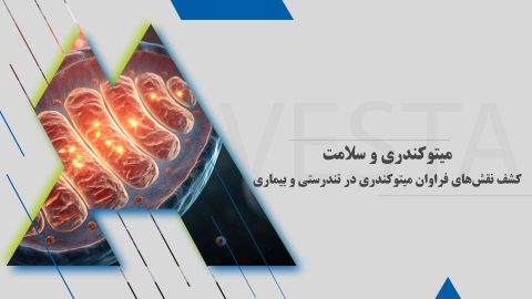 میتوکندری و سلامت