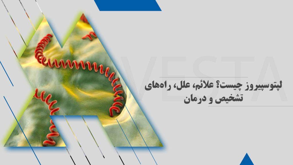 لپتوسپیروز چیست؟ علائم، علل، راه‌های تشخیص و درمان