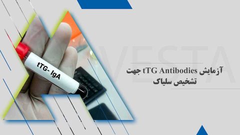 آزمایش tTG Antibodies جهت تشخیص سلیاک