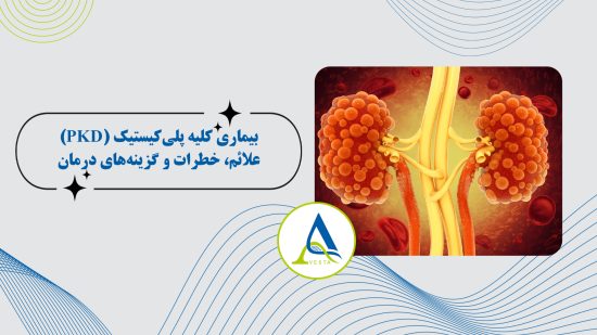 بیماری کلیه پلی کیستیک (PKD)؛ علائم، خطرات و گزینه‌های درمان