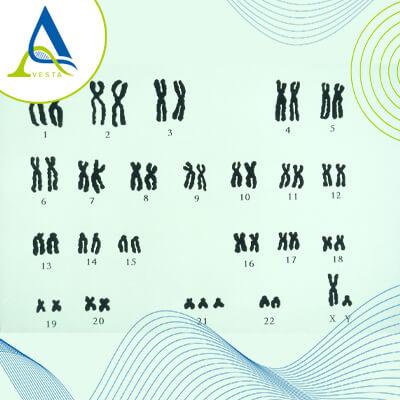 آزمایش QF PCR چیست و چه کاربردی در تشخیص پیش از تولد دارد؟