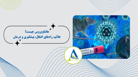 هانتاویروس چیست؟ علائم، راه‌های انتقال، پیشگیری و درمان
