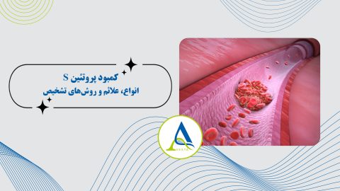 کمبود پروتئین S؛ انواع، علائم و روش‌های تشخیص