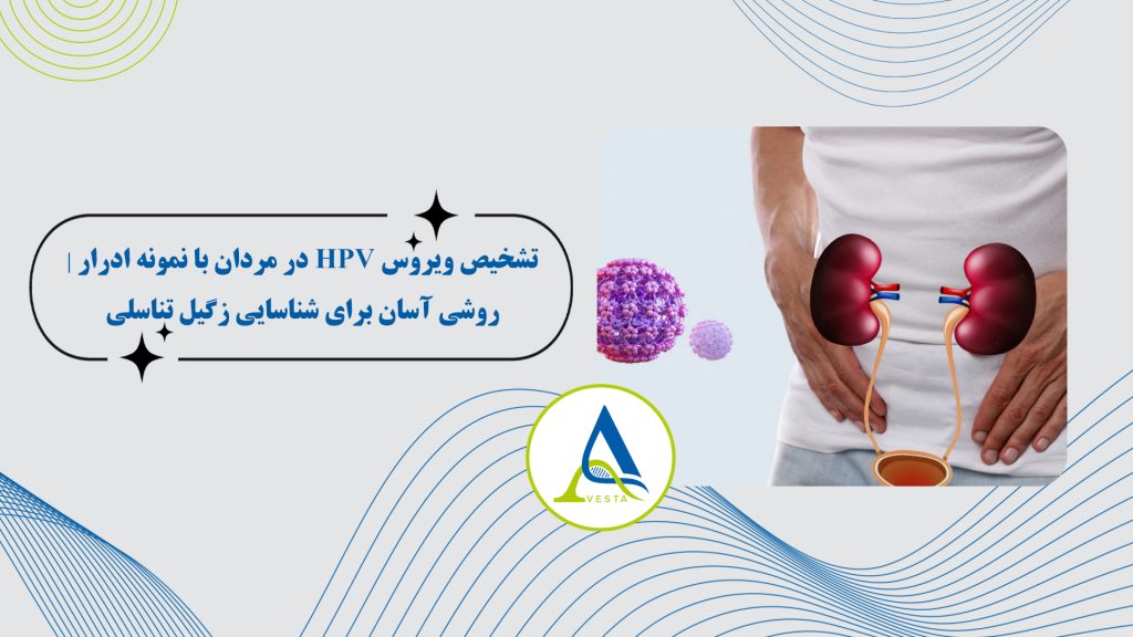 تشخیص ویروس HPV در مردان با نمونه ادرار | روشی آسان برای شناسایی زگیل تناسلی