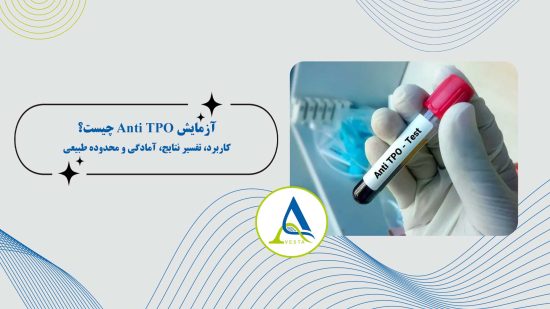 آزمایش Anti TPO چیست؟ کاربرد، تفسیر نتایج، آمادگی و محدوده طبیعی